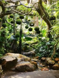 广西青秀山植物园——兰园